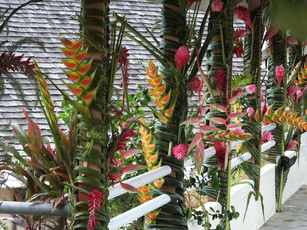 Tiki Hotel - Hotel D'Application Du Lycee De Tahiti Punaauia  Exterior photo